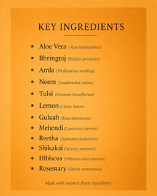 Key ingredients shampoo