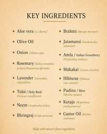 Olive oil key ingredients